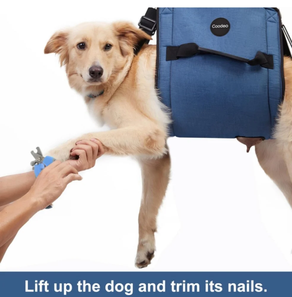 New Pet Carrier Harness